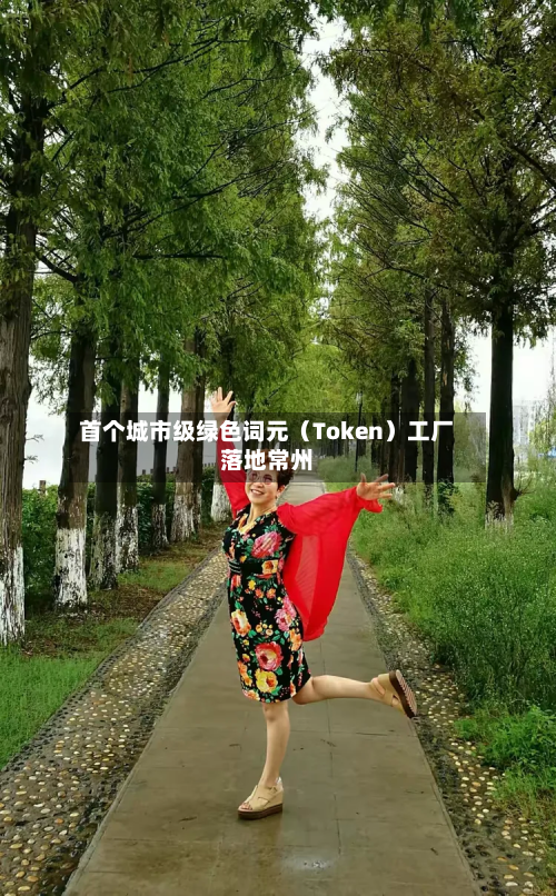 首个城市级绿色词元（Token）工厂落地常州