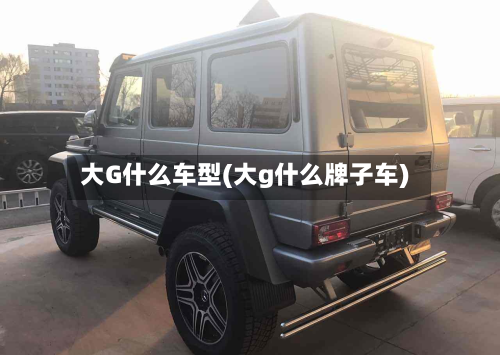 大G什么车型(大g什么牌子车)