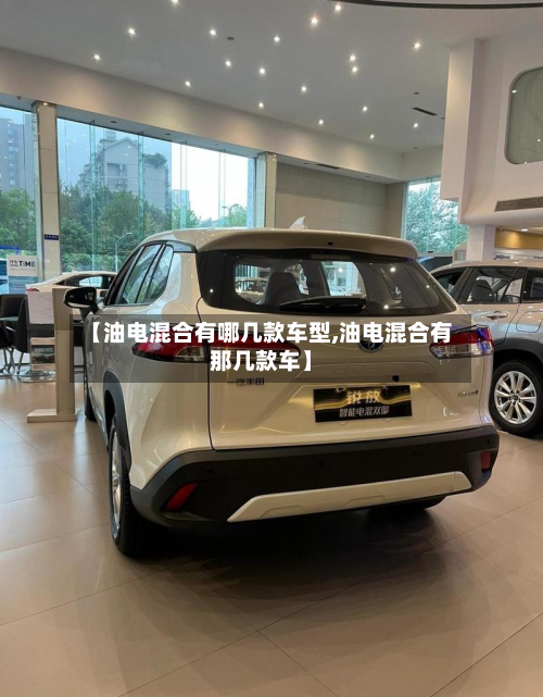 【油电混合有哪几款车型,油电混合有那几款车】-第2张图片