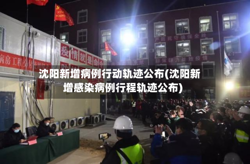 沈阳新增病例行动轨迹公布(沈阳新增感染病例行程轨迹公布)-第2张图片