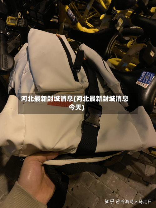 河北最新封城消息(河北最新封城消息今天)-第2张图片