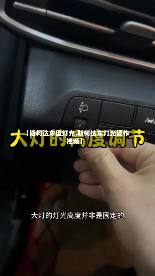 【斯柯达车型灯光,斯柯达车灯光操作视频】-第2张图片