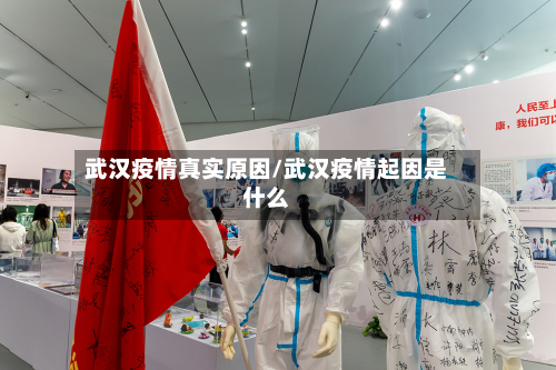 武汉疫情真实原因/武汉疫情起因是什么-第2张图片