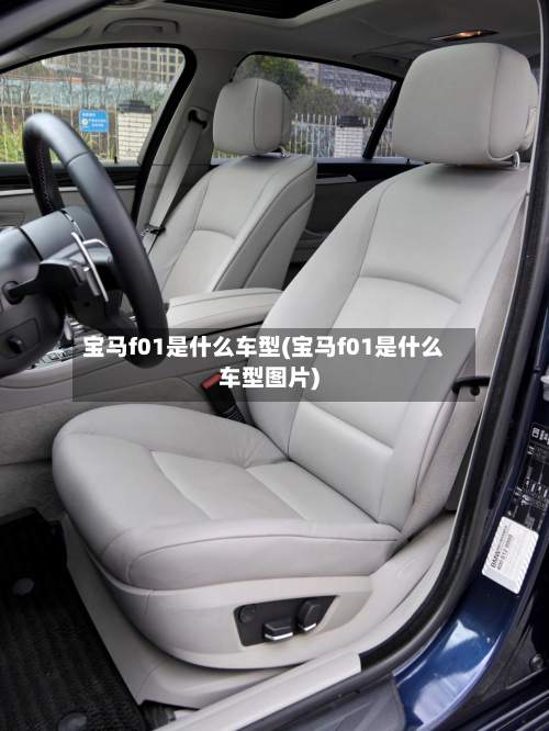 宝马f01是什么车型(宝马f01是什么车型图片)-第2张图片