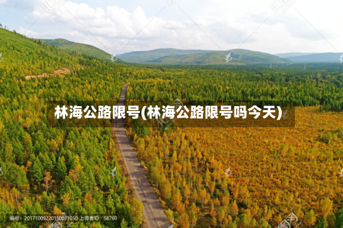林海公路限号(林海公路限号吗今天)-第2张图片