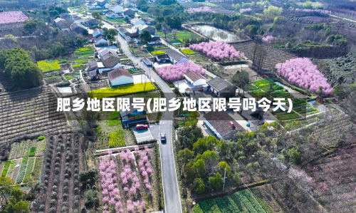 肥乡地区限号(肥乡地区限号吗今天)-第1张图片