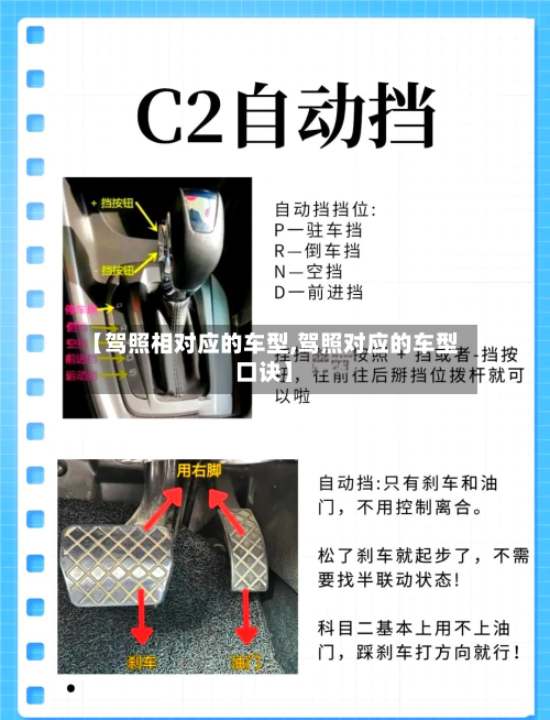 【驾照相对应的车型,驾照对应的车型口诀】-第2张图片