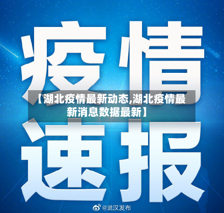 【湖北疫情最新动态,湖北疫情最新消息数据最新】-第2张图片