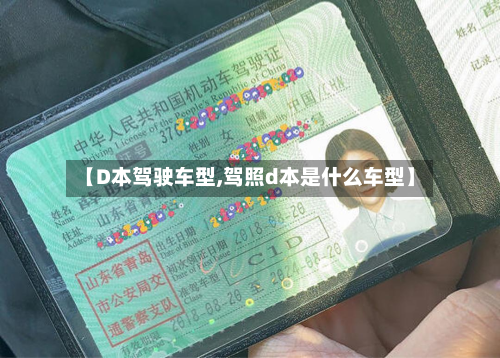 【D本驾驶车型,驾照d本是什么车型】