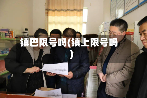 镇巴限号吗(镇上限号吗)
