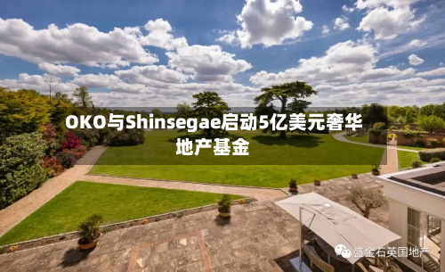 OKO与Shinsegae启动5亿美元奢华地产基金-第3张图片