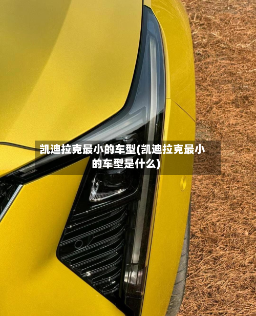 凯迪拉克最小的车型(凯迪拉克最小的车型是什么)