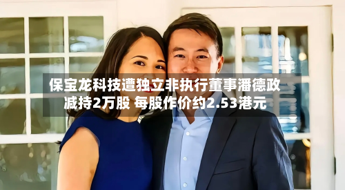 保宝龙科技遭独立非执行董事潘德政减持2万股 每股作价约2.53港元-第2张图片