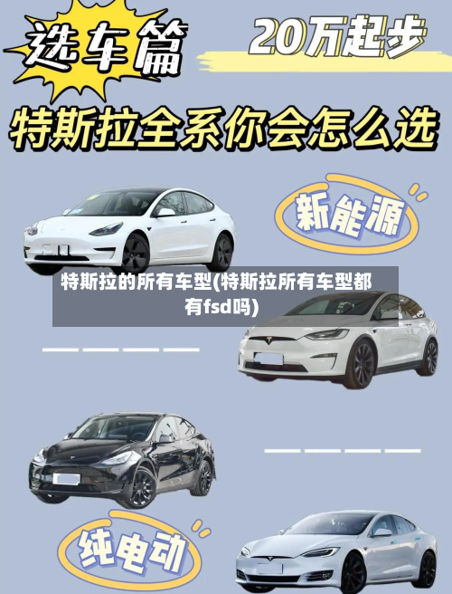 特斯拉的所有车型(特斯拉所有车型都有fsd吗)-第3张图片