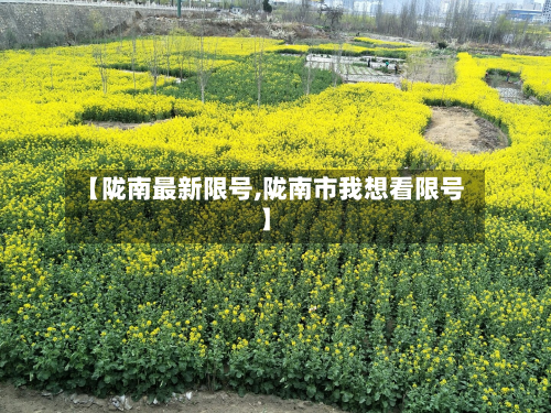 【陇南最新限号,陇南市我想看限号】
