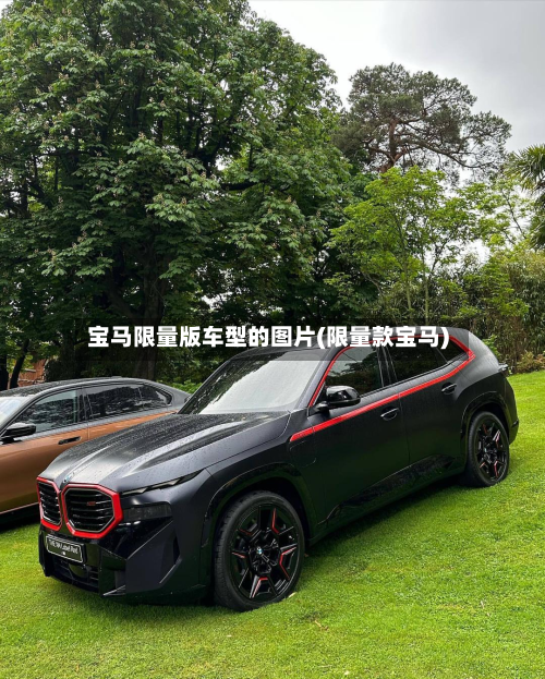 宝马限量版车型的图片(限量款宝马)-第2张图片
