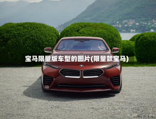 宝马限量版车型的图片(限量款宝马)