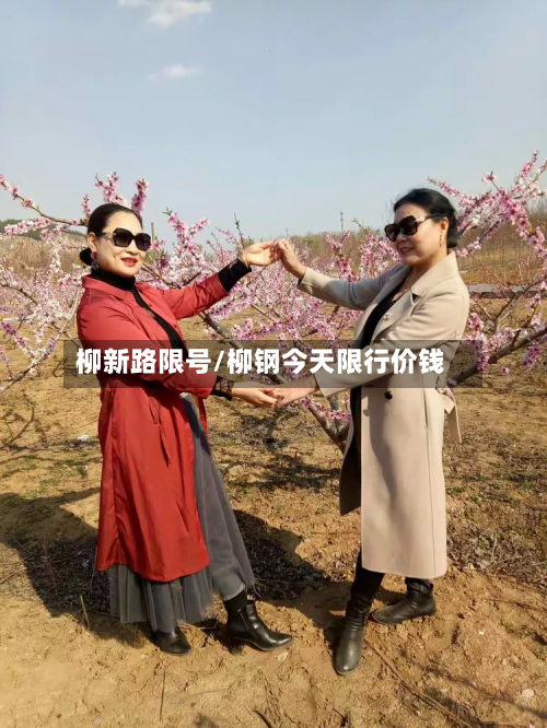 柳新路限号/柳钢今天限行价钱