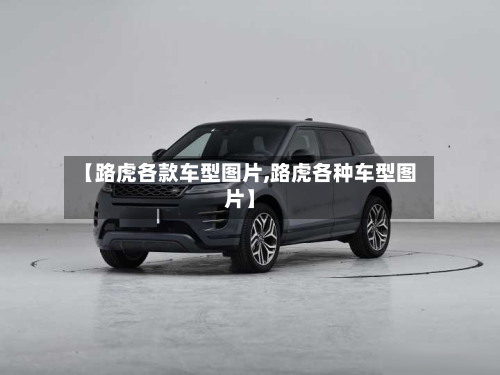 【路虎各款车型图片,路虎各种车型图片】-第3张图片