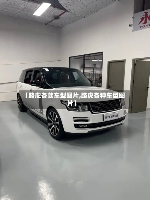 【路虎各款车型图片,路虎各种车型图片】-第2张图片
