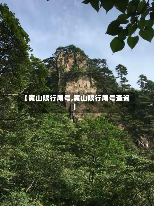 【黄山限行尾号,黄山限行尾号查询】