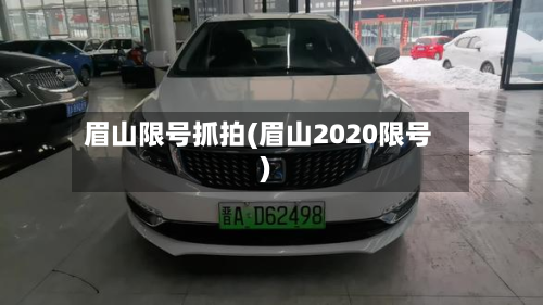 眉山限号抓拍(眉山2020限号)