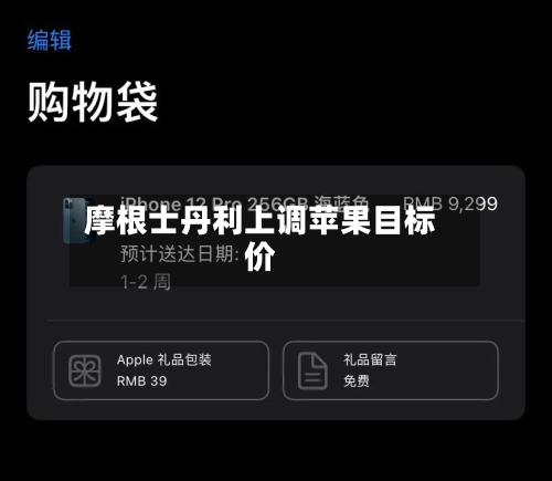 摩根士丹利上调苹果目标价-第3张图片