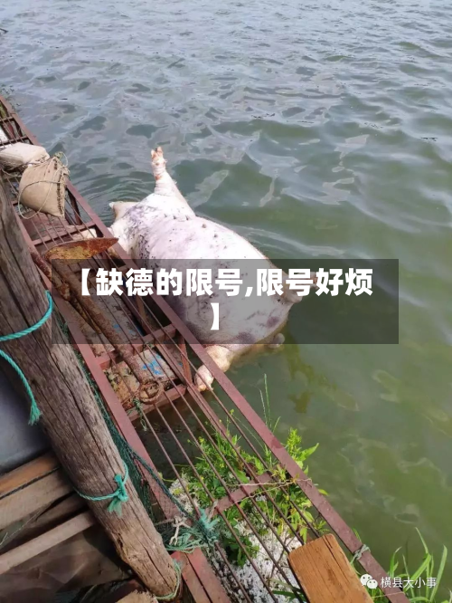 【缺德的限号,限号好烦】-第2张图片