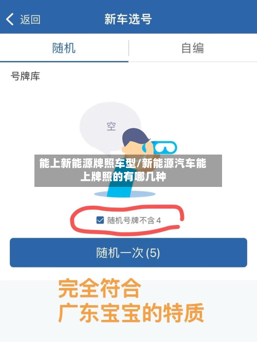 能上新能源牌照车型/新能源汽车能上牌照的有哪几种