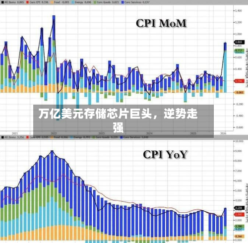 万亿美元存储芯片巨头，逆势走强-第3张图片
