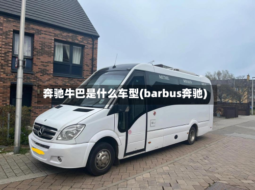 奔驰牛巴是什么车型(barbus奔驰)-第3张图片