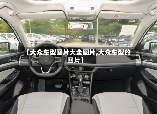 【大众车型图片大全图片,大众车型的图片】-第3张图片
