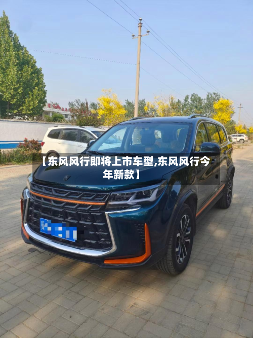 【东风风行即将上市车型,东风风行今年新款】