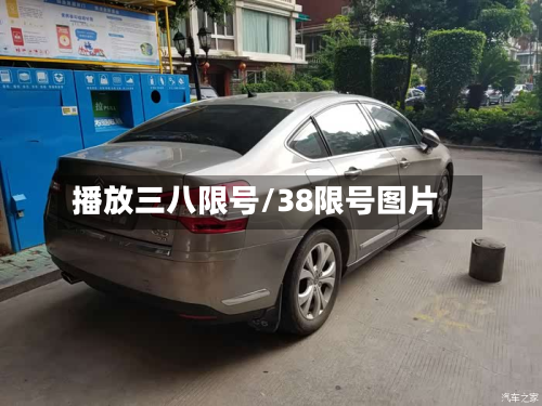 播放三八限号/38限号图片