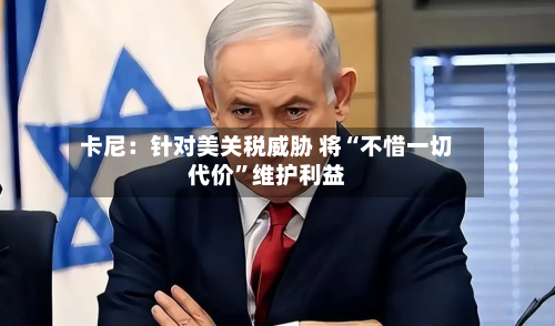 卡尼：针对美关税威胁 将“不惜一切代价”维护利益-第2张图片