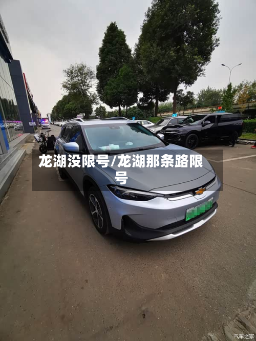 龙湖没限号/龙湖那条路限号