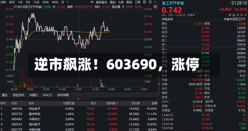 逆市飙涨！603690，涨停-第2张图片