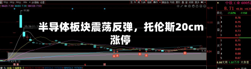 半导体板块震荡反弹，托伦斯20cm涨停