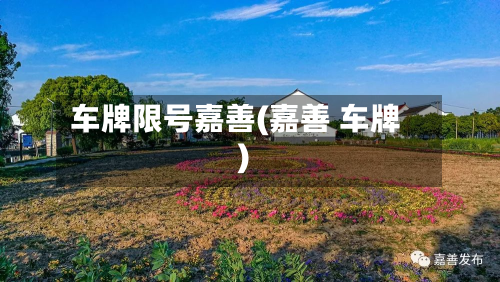 车牌限号嘉善(嘉善 车牌)