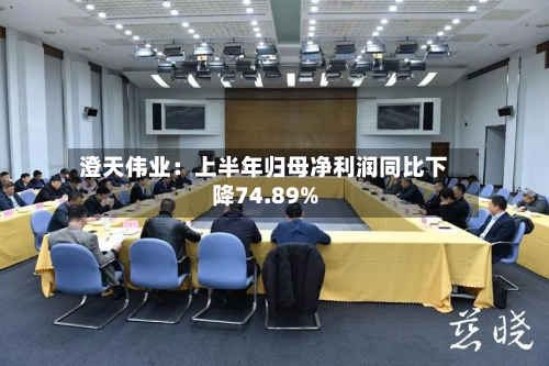 澄天伟业：上半年归母净利润同比下降74.89%-第2张图片