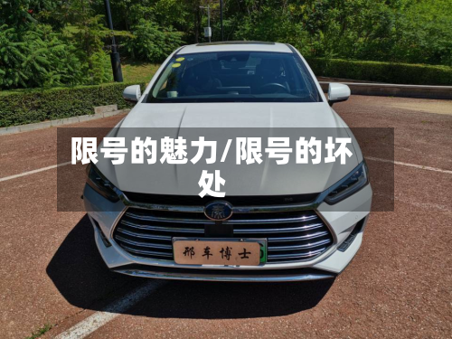 限号的魅力/限号的坏处-第2张图片