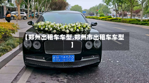 【郑州出租车车型,郑州市出租车车型】-第3张图片
