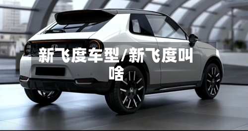 新飞度车型/新飞度叫啥