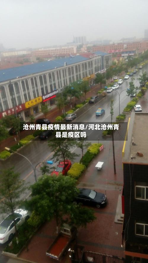 沧州青县疫情最新消息/河北沧州青县是疫区吗-第3张图片