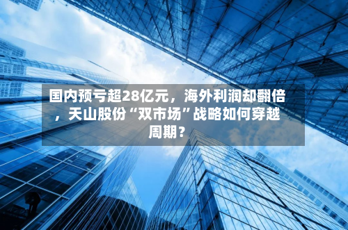 国内预亏超28亿元，海外利润却翻倍，天山股份“双市场”战略如何穿越周期？-第3张图片