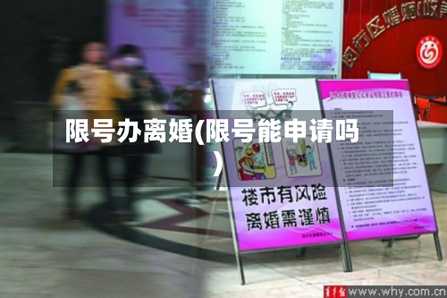 限号办离婚(限号能申请吗)