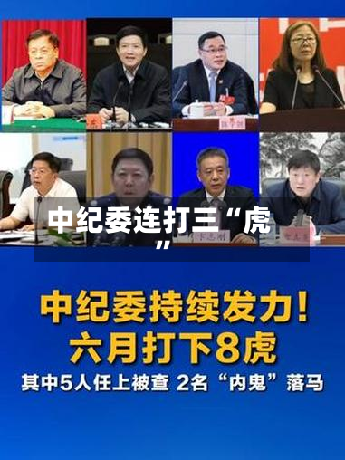 中纪委连打三“虎”-第3张图片
