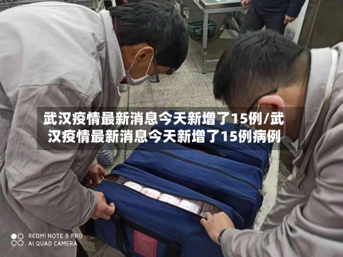 武汉疫情最新消息今天新增了15例/武汉疫情最新消息今天新增了15例病例-第2张图片