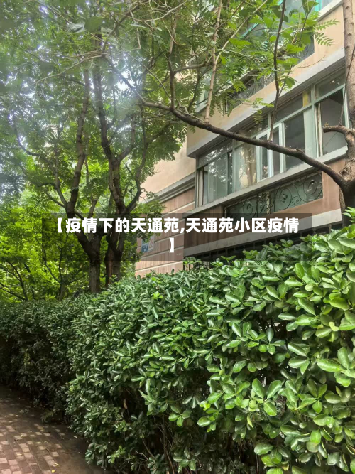 【疫情下的天通苑,天通苑小区疫情】-第3张图片