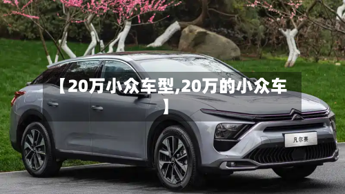 【20万小众车型,20万的小众车】-第2张图片